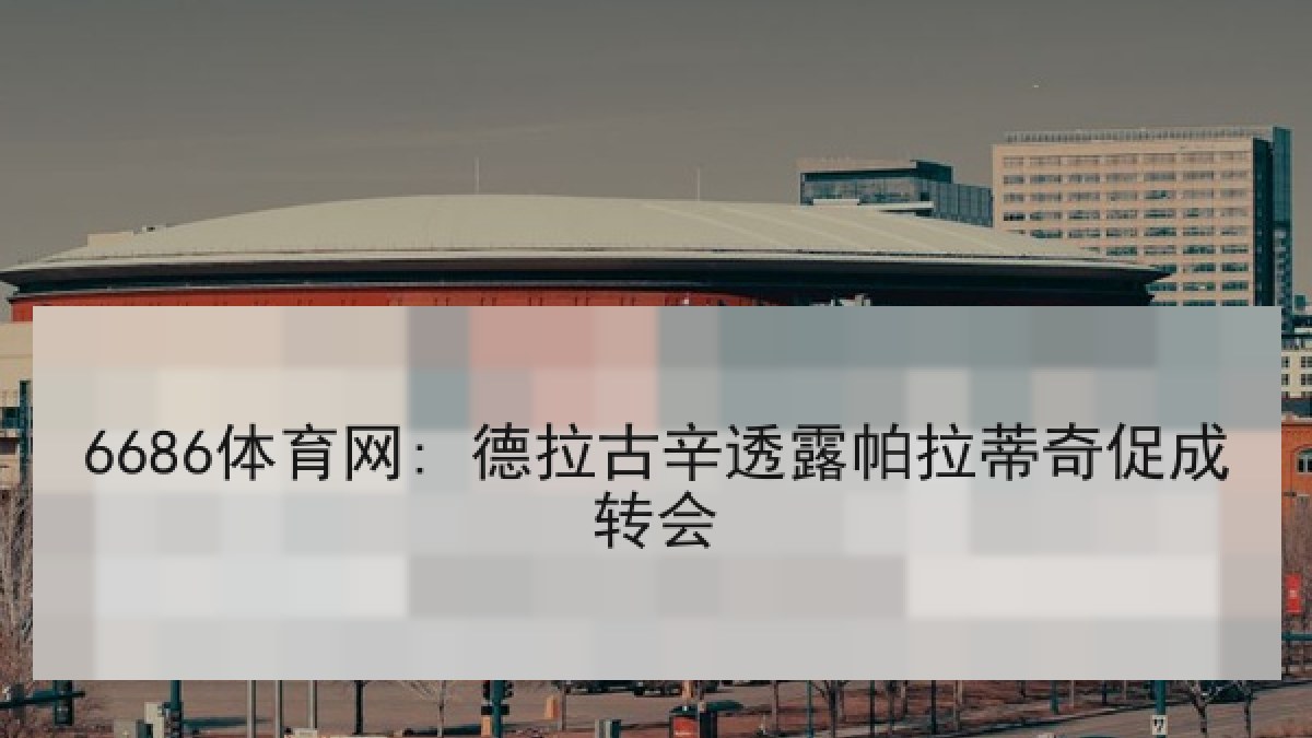 6686体育网: 德拉古辛透露帕拉蒂奇促成转会 6686体育网: 德拉古辛透露帕拉蒂奇促成转会